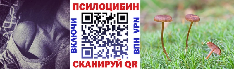 blacksprut tor  Вичуга  Галлюциногенные грибы мицелий 