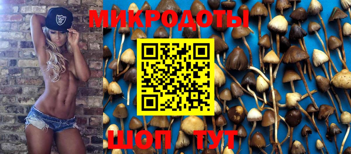 Вичуга  Псилоцибиновые грибы MAGIC MUSHROOMS  Вход с VPN 