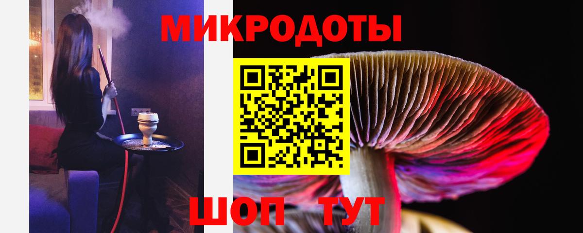 Псилоцибиновые грибы GOLDEN TEACHER Вичуга